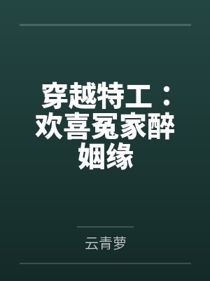 穿越特工：欢喜冤家醉姻缘